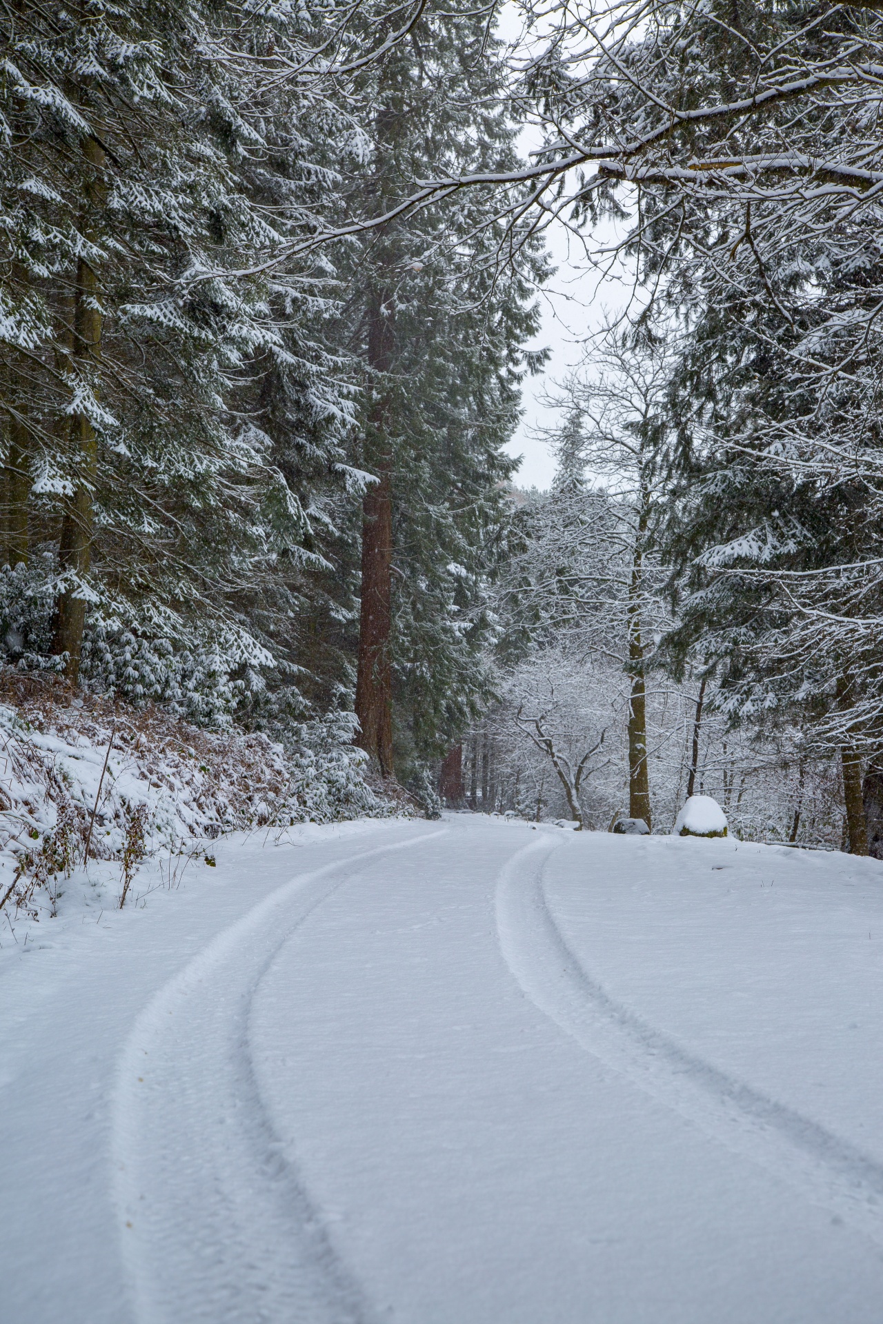 road snow winter free photo