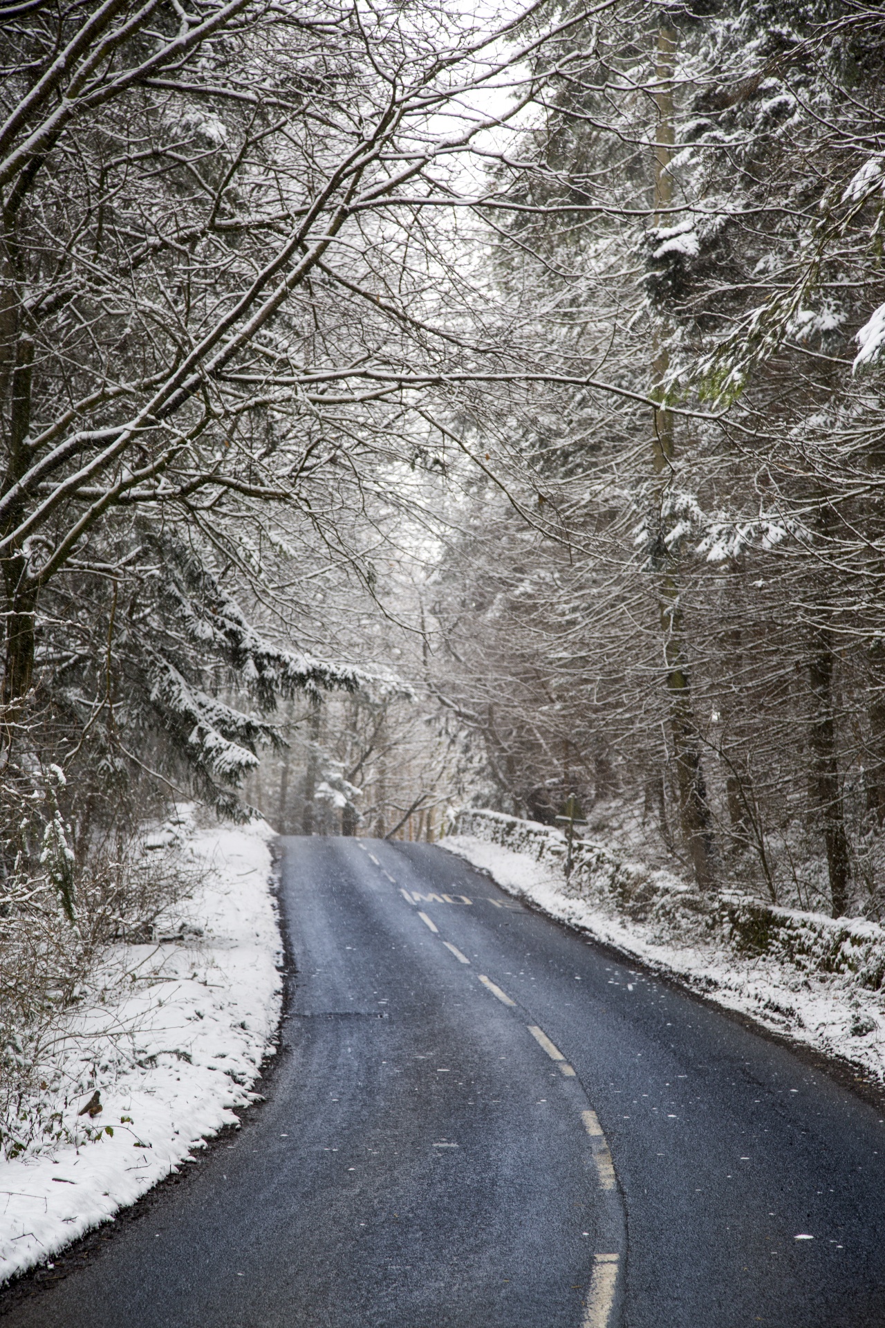 road snow winter free photo