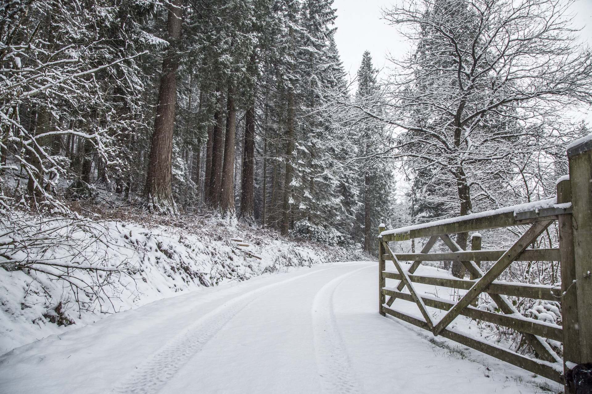 road snow winter free photo