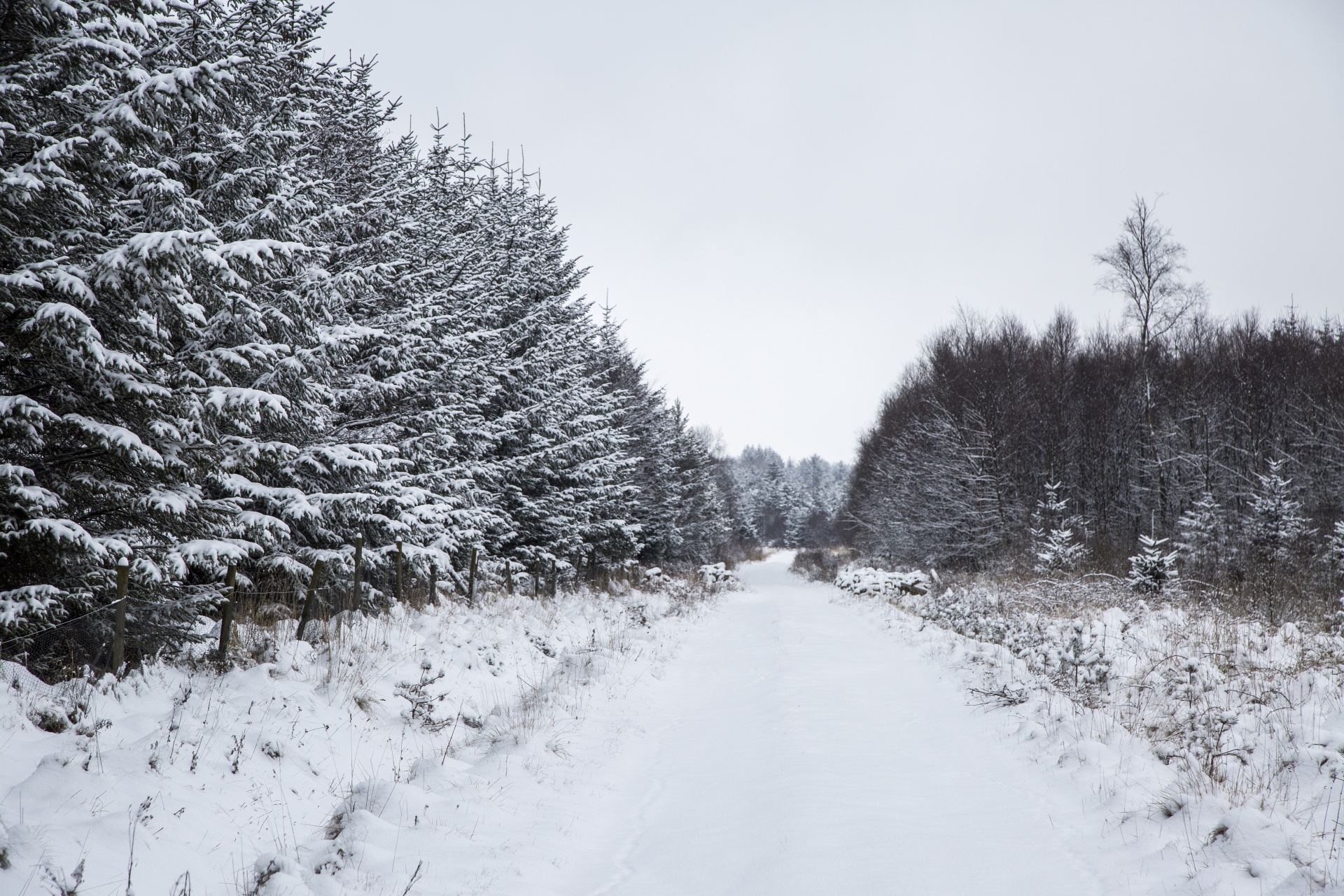 road snow winter free photo