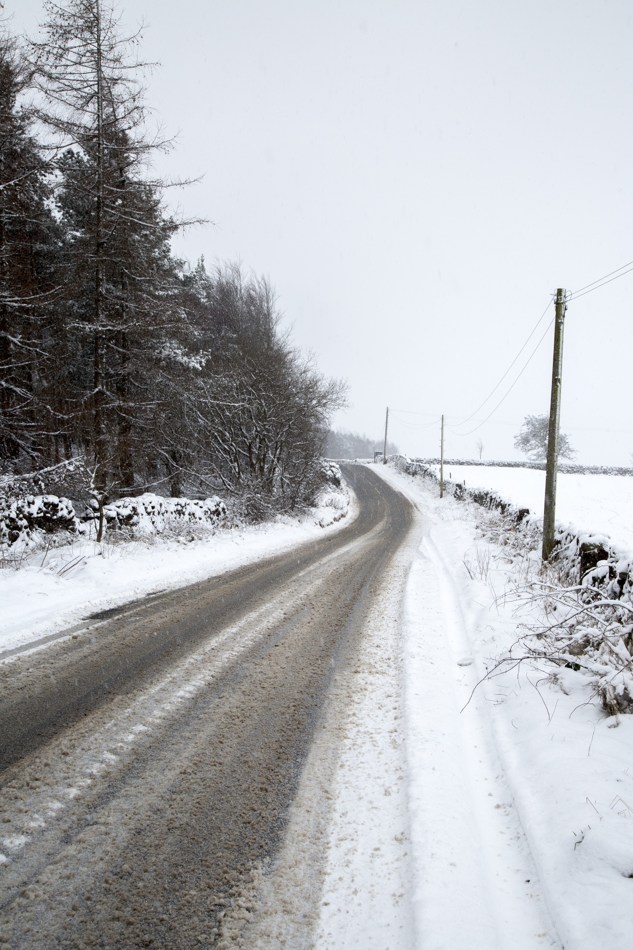 road snow winter free photo