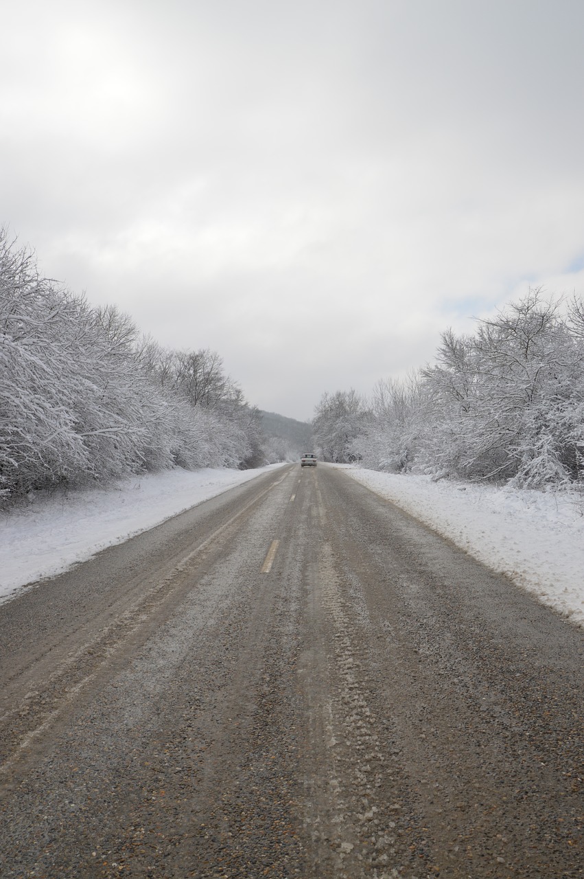 winter road road winter free photo