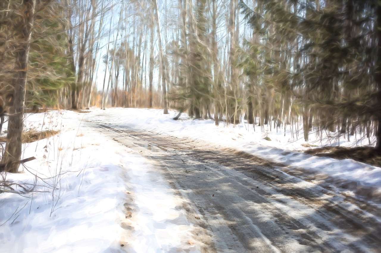 winter road snow snowy free photo