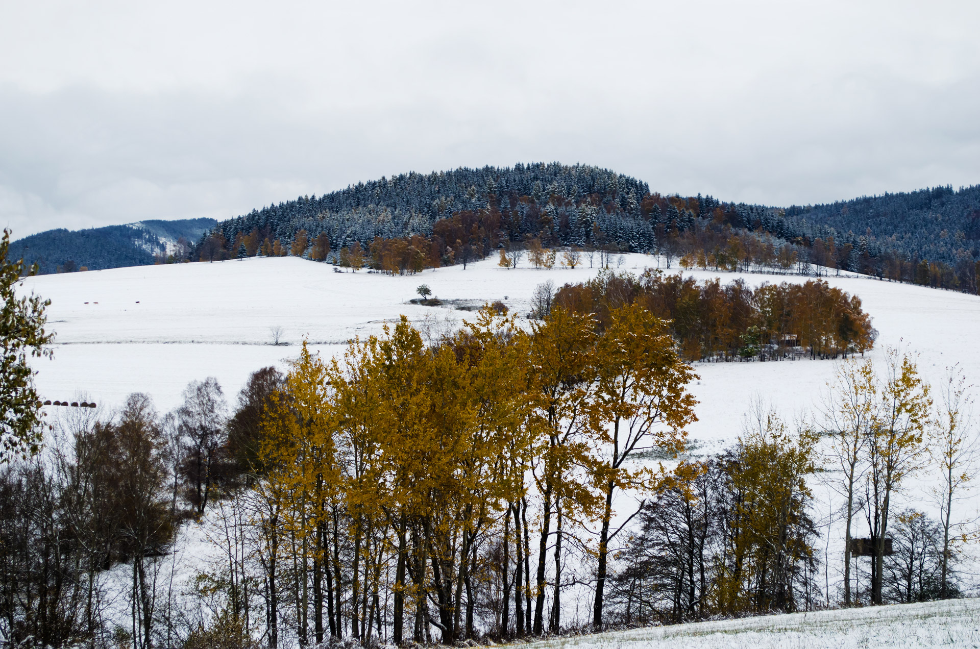 winter season snow free photo