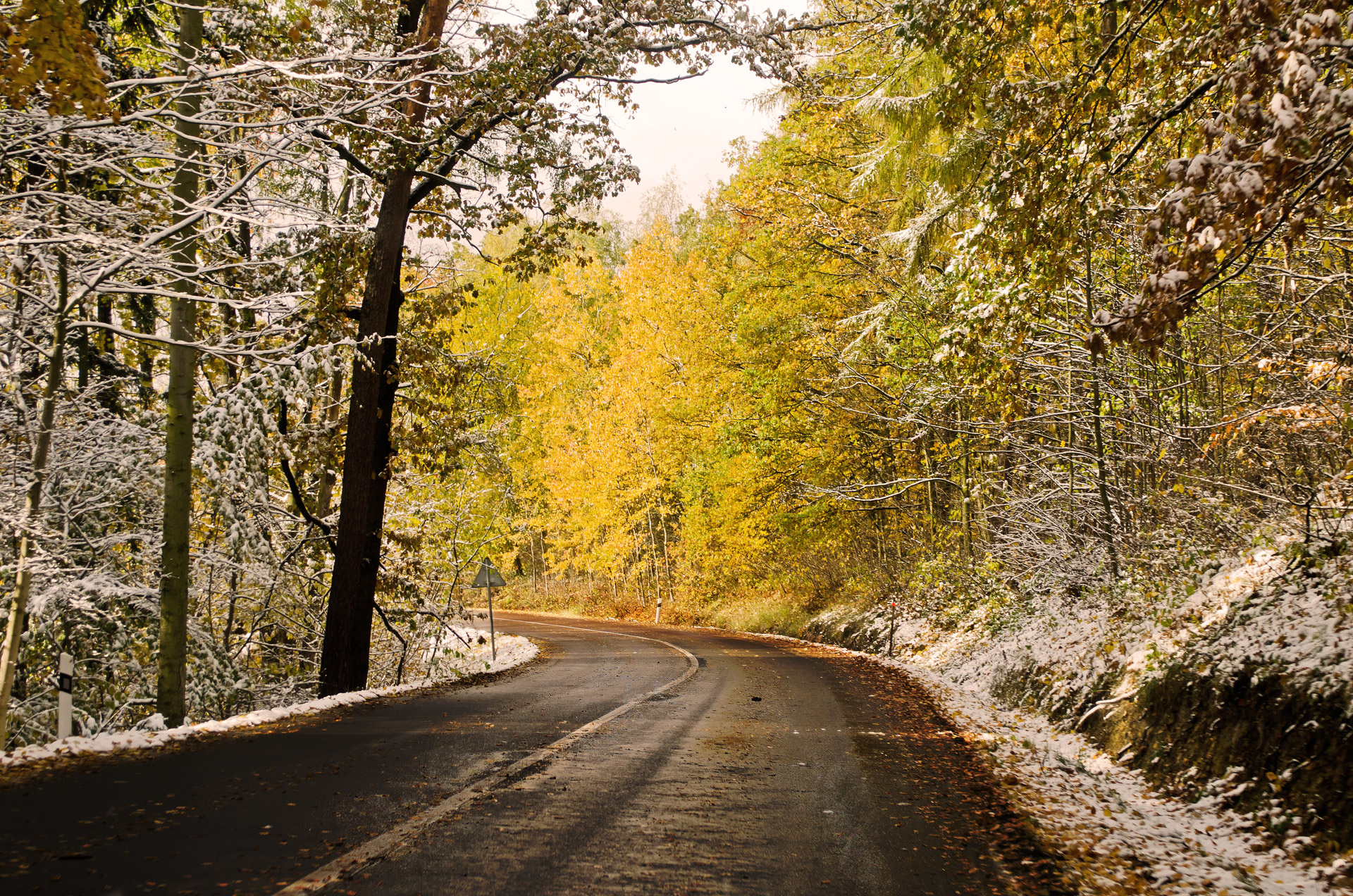 winter season road traveling free photo