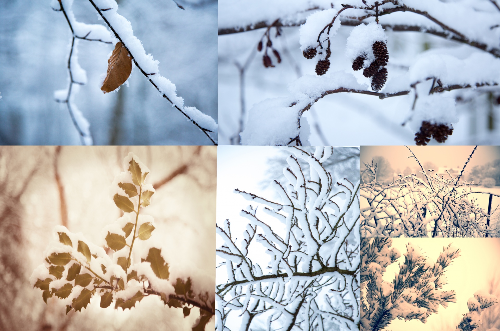 winter seasons poster free photo