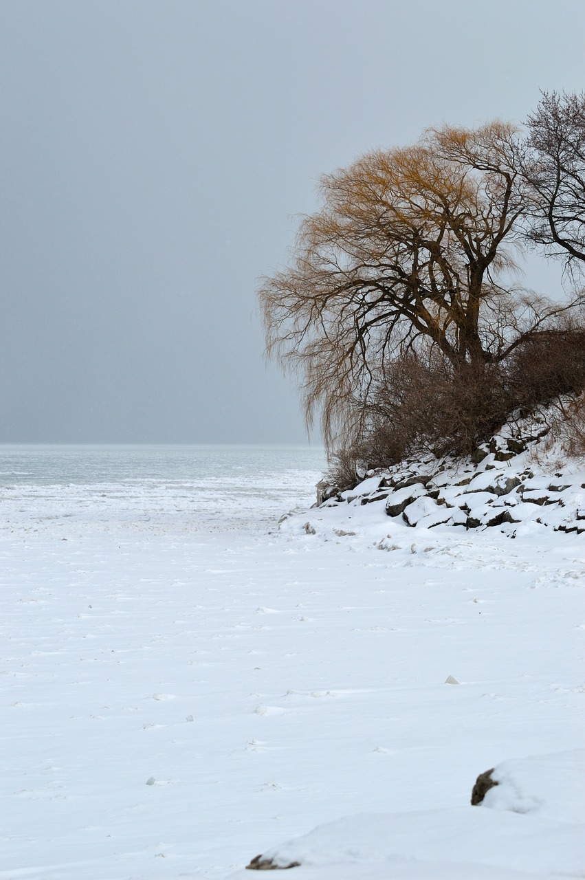 winter shore ice snow free photo