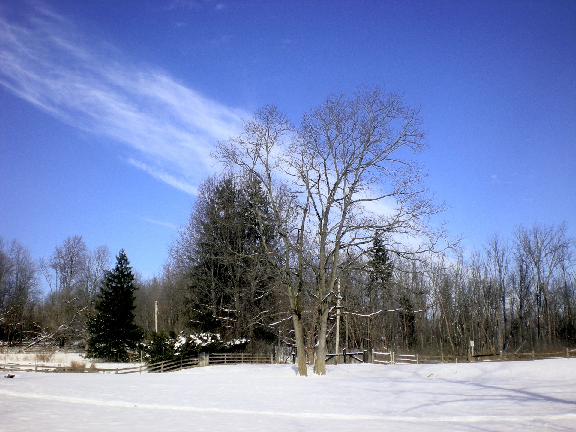 winter blue sky snow free photo