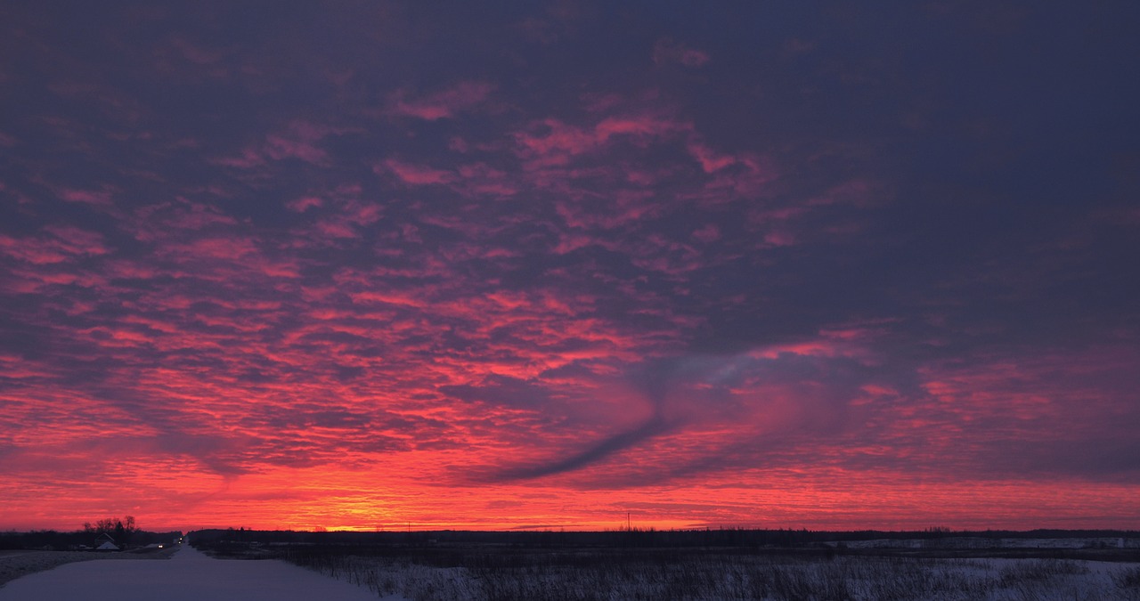 winter solstice  winter  snow free photo