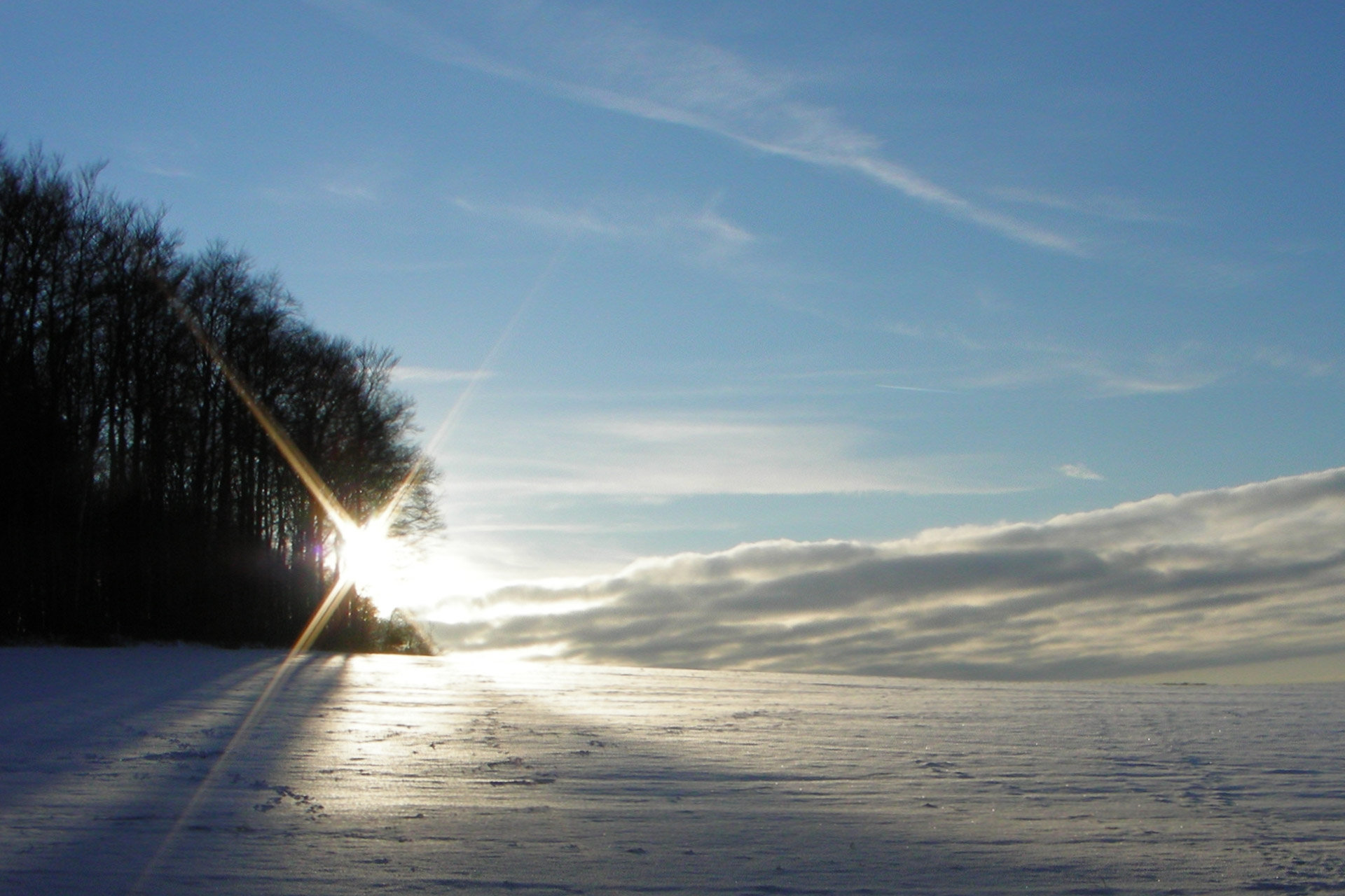 winter sun snow free photo