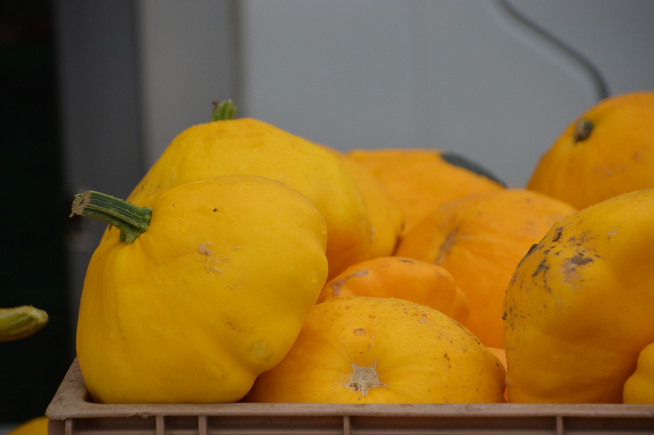 winter squash  fruit  genus cucurbita free photo