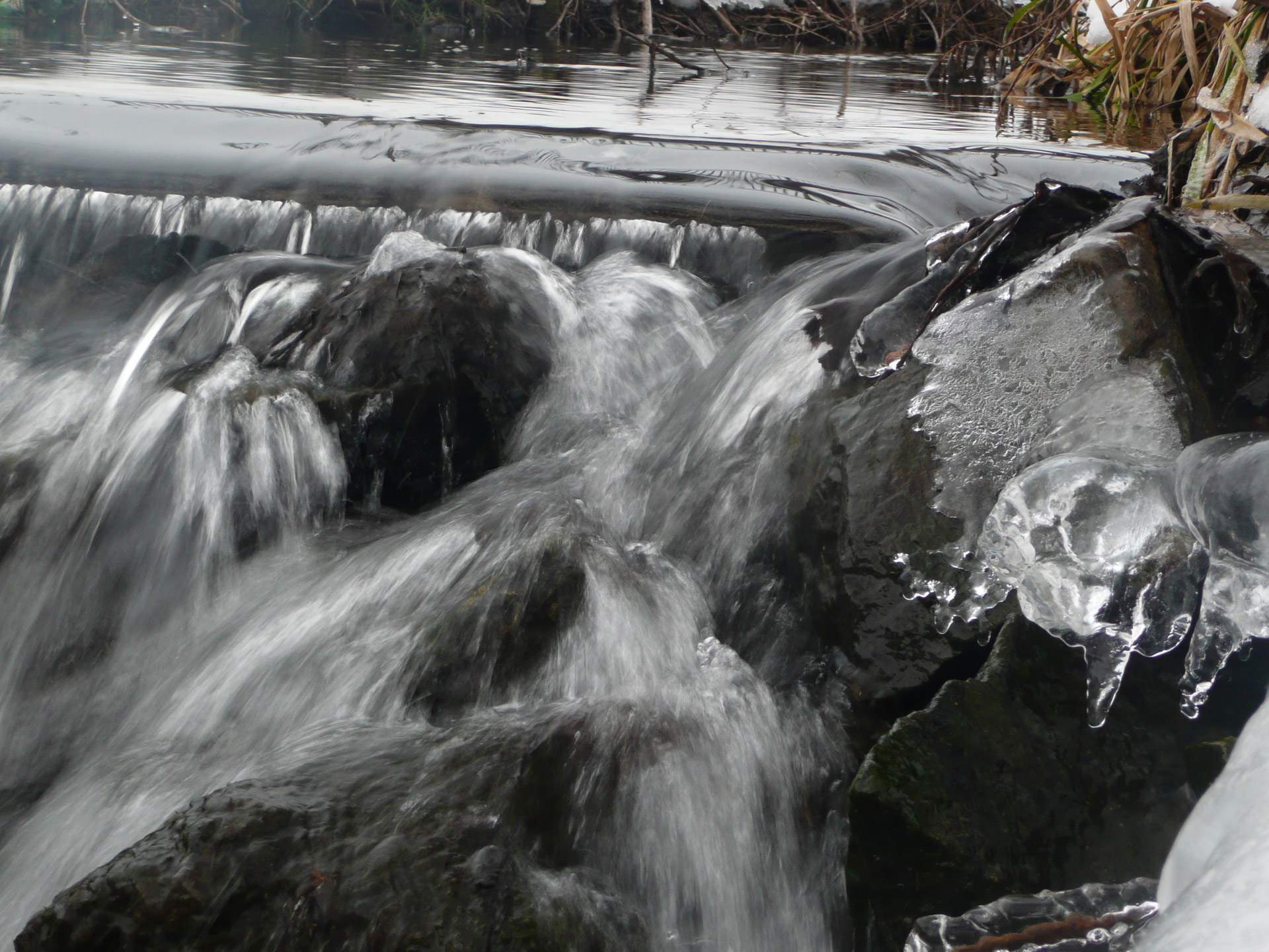 winter stream water free photo