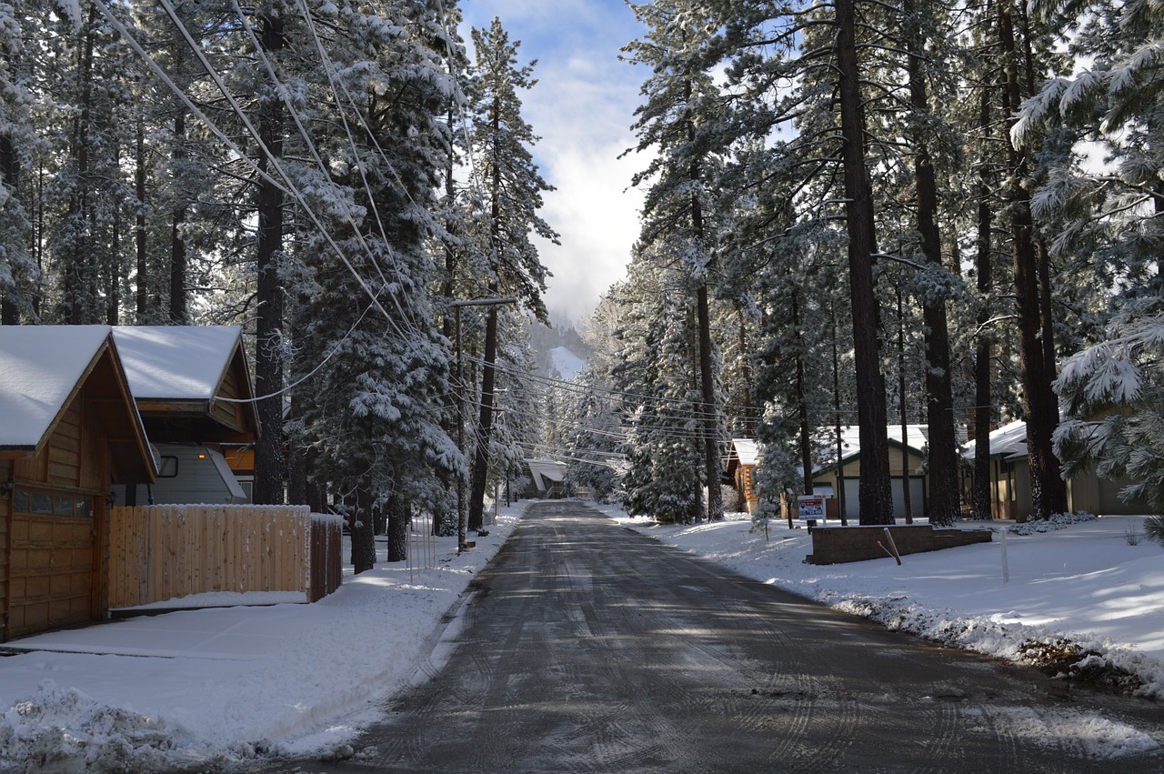 winter street snow homes free photo