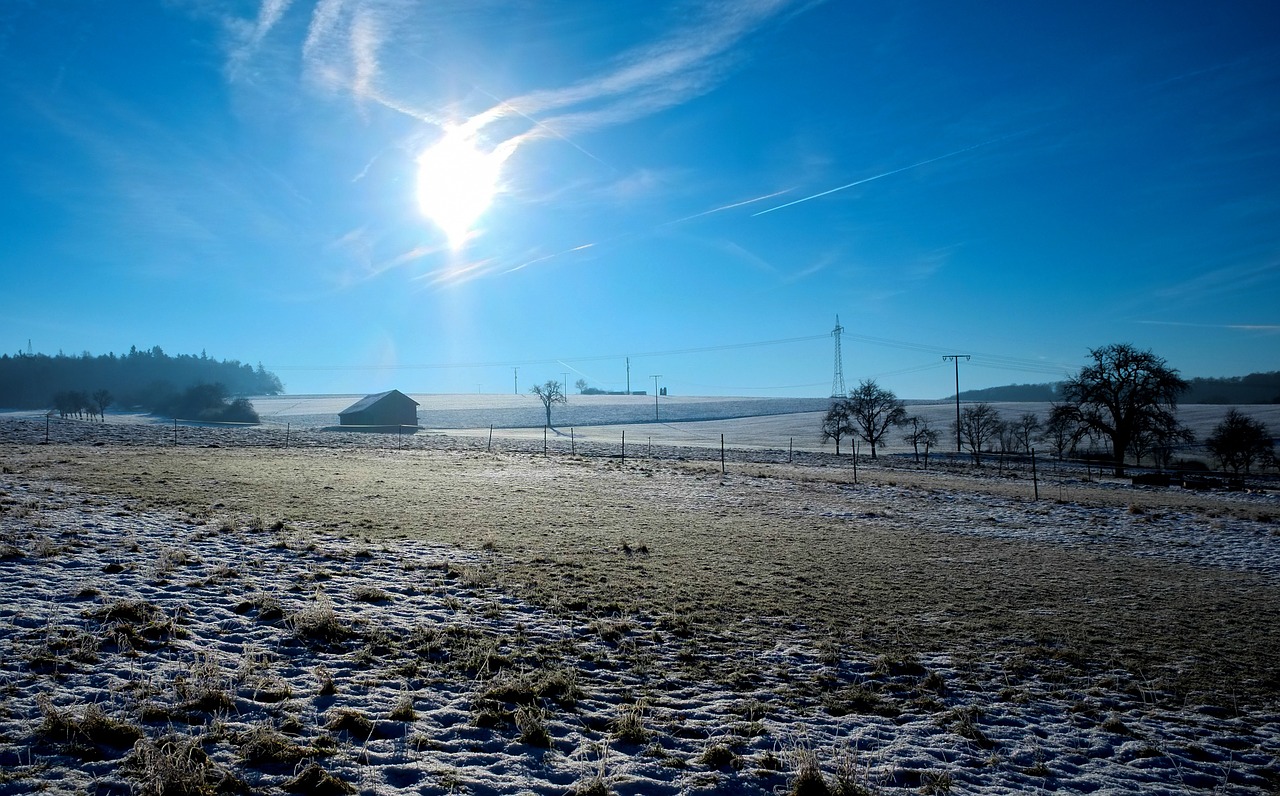 winter sun morning morning sun free photo