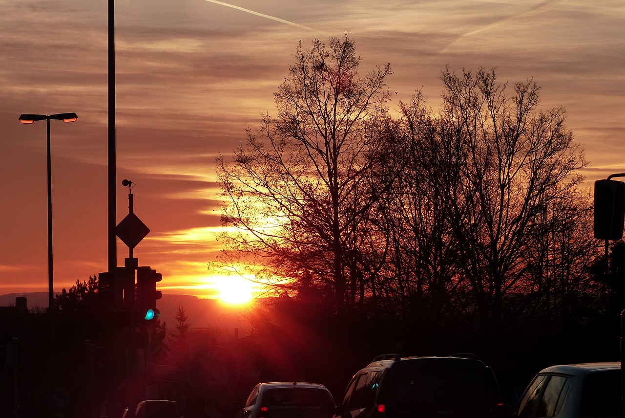 winter sun red winter free photo