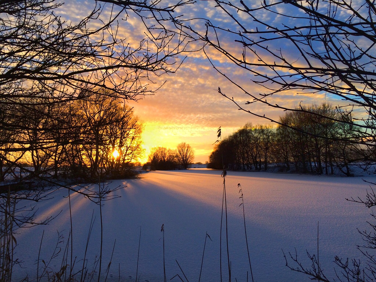 winter sun snow wintry free photo