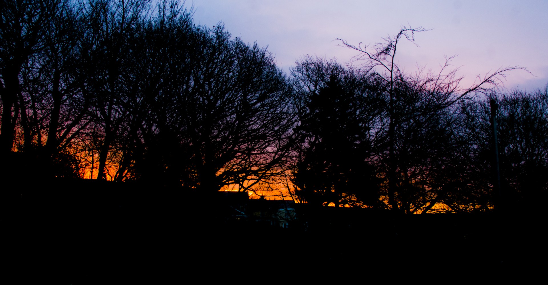 sunrise trees winter free photo