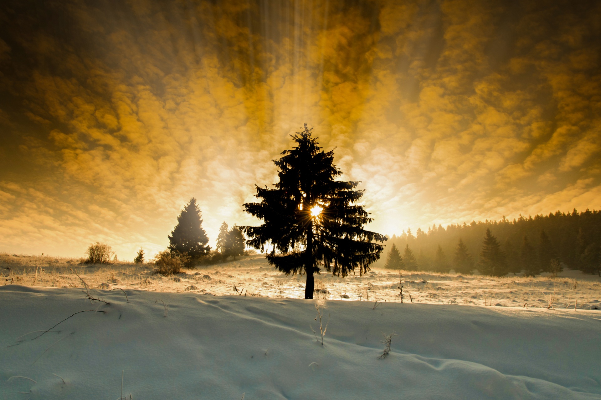 beautiful landscape winter free photo