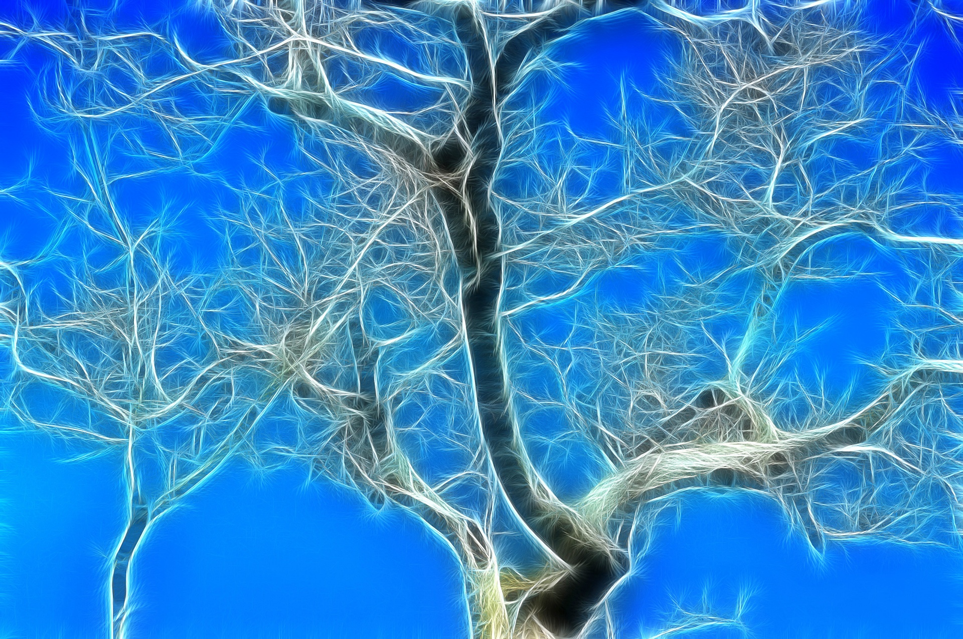 tree nature art free photo