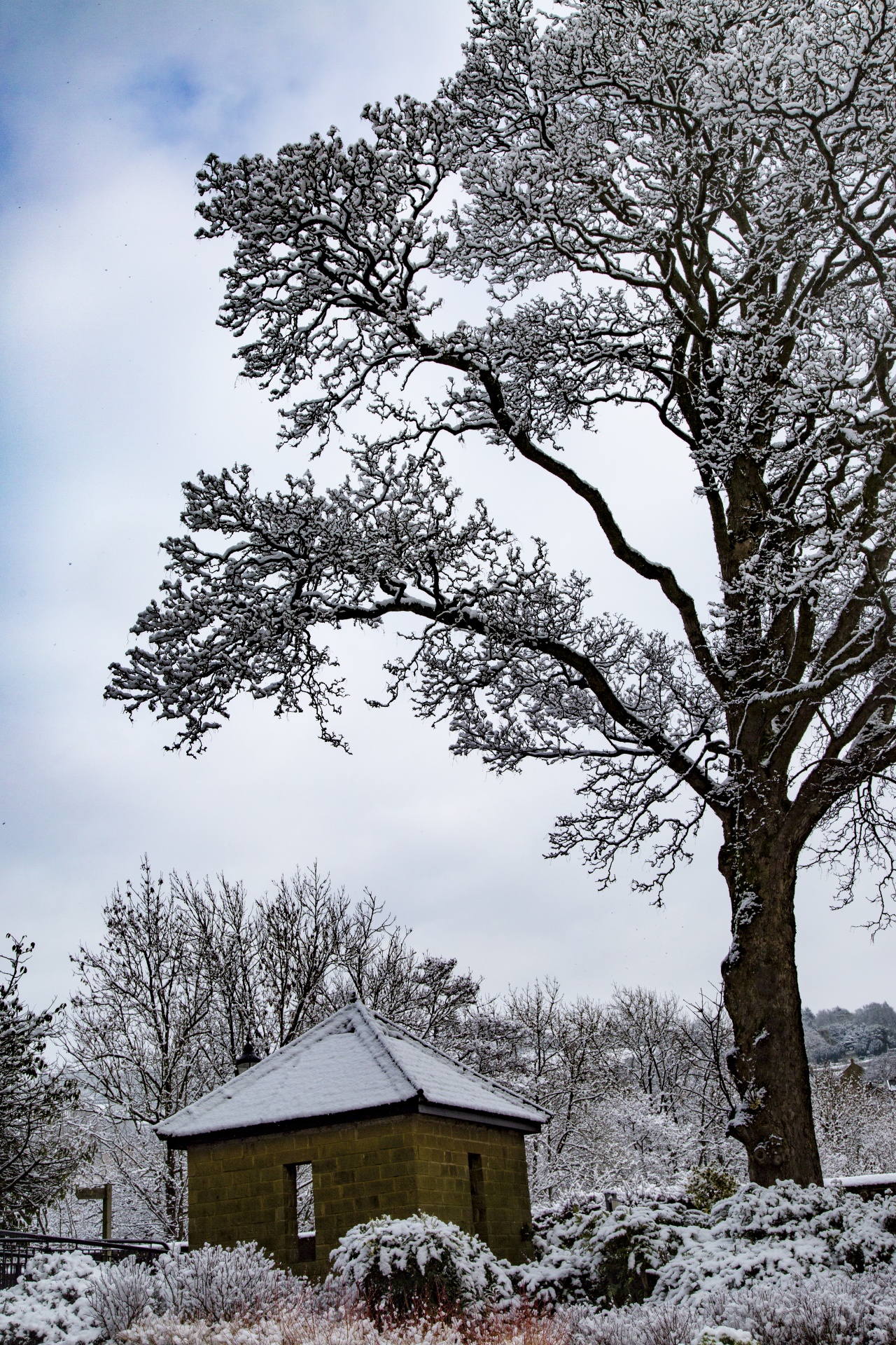 winter farm yorkshire free photo