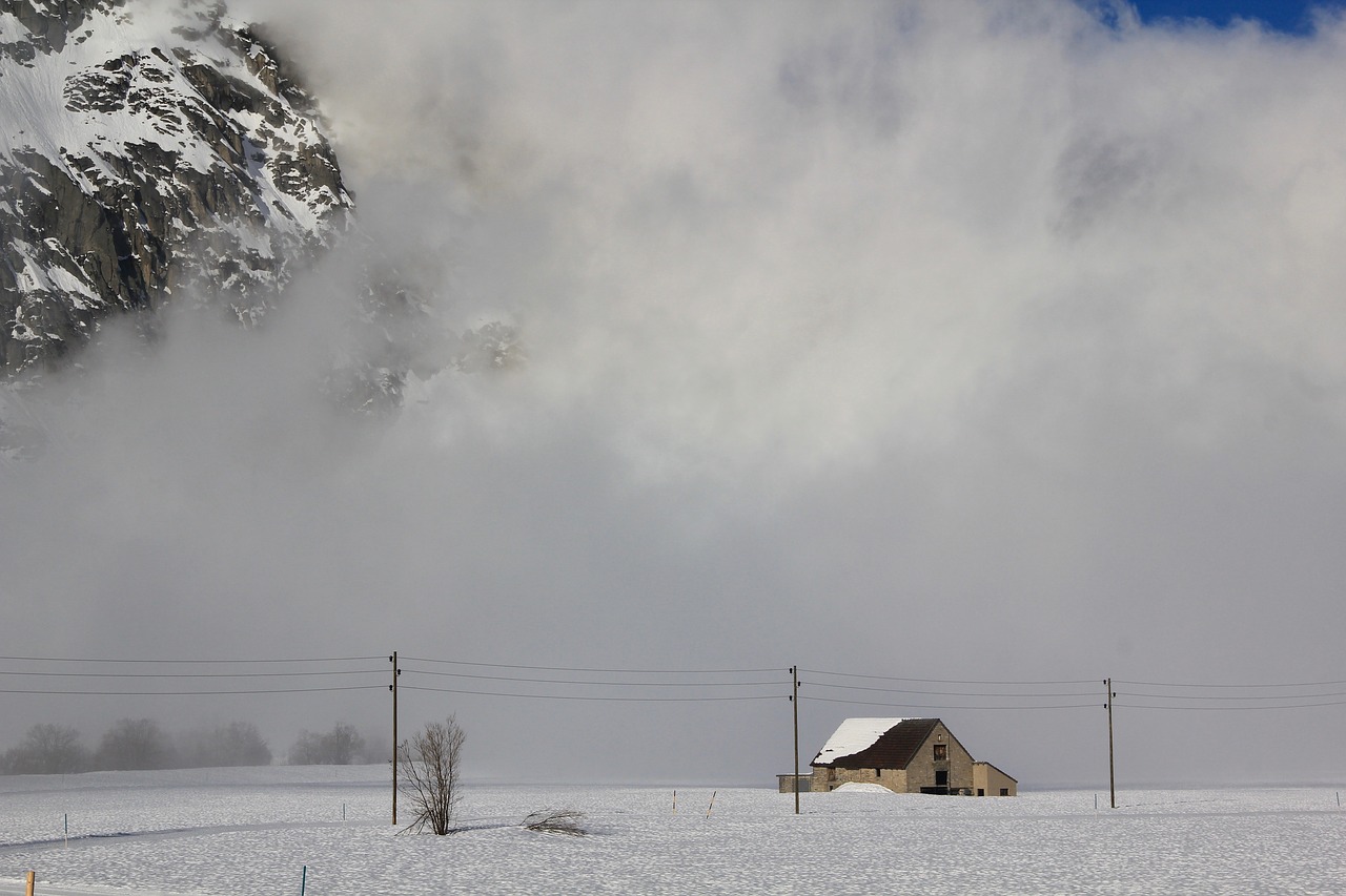 winter winter  snow  landscape free photo