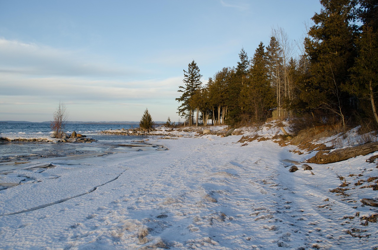 winter wonderland beach christmas 2016 free photo