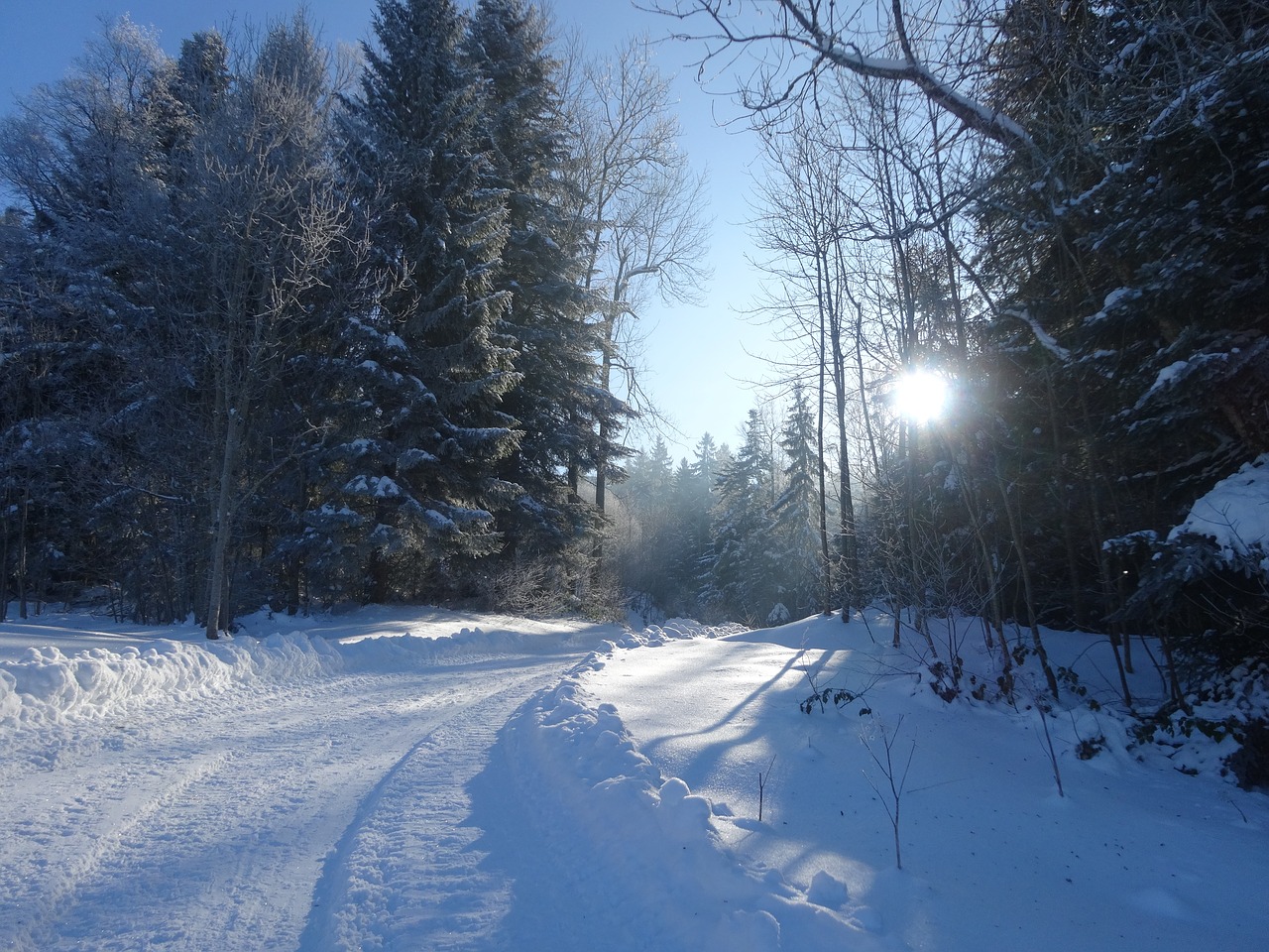 winter wonderland winter landscape snow walk free photo