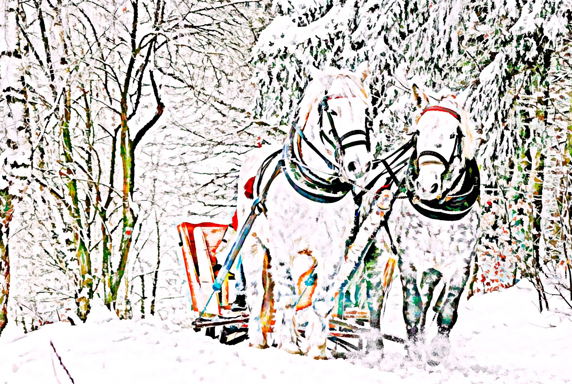 winter snow horses free photo