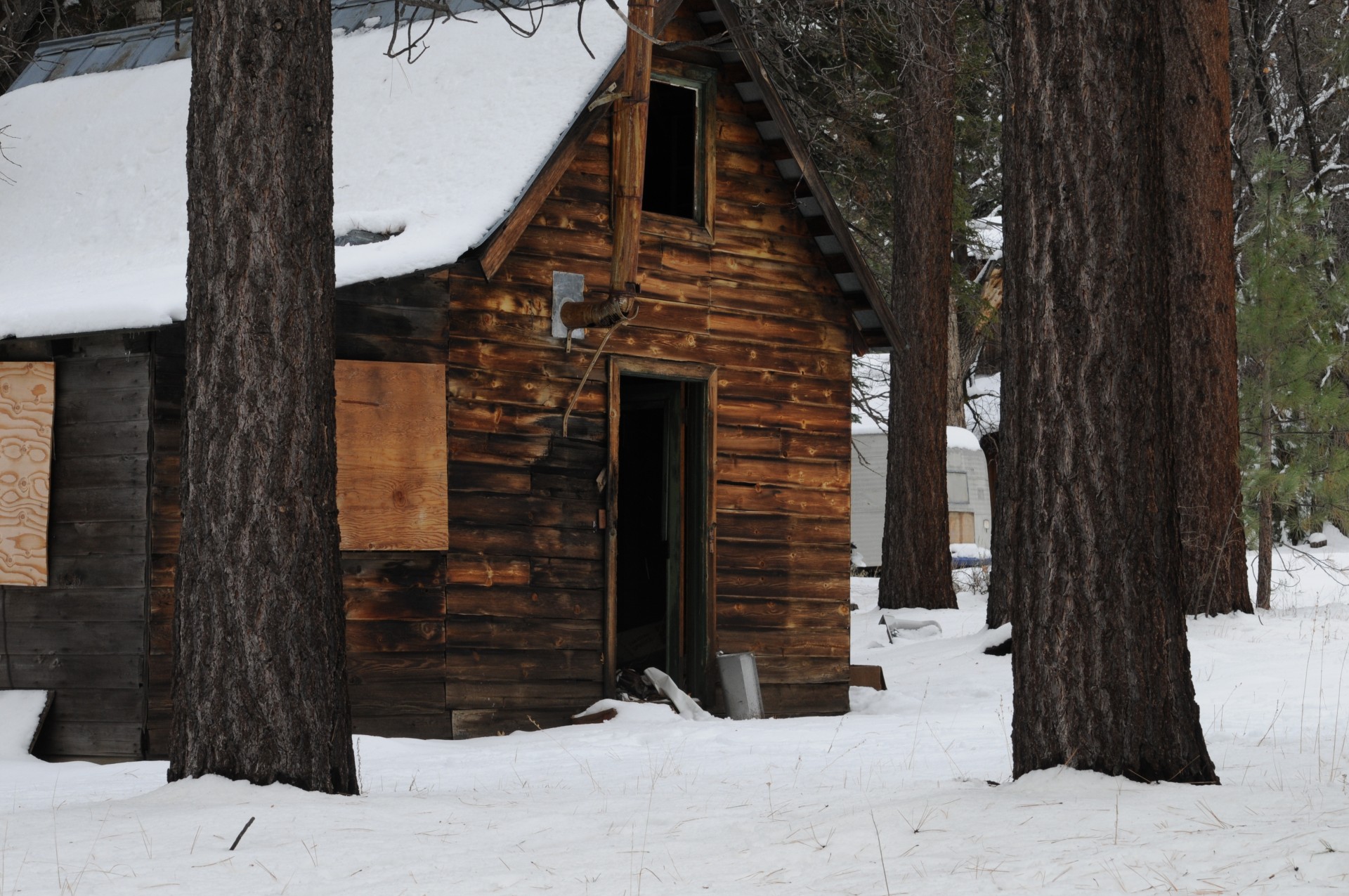 winter holiday white christmas snow free photo