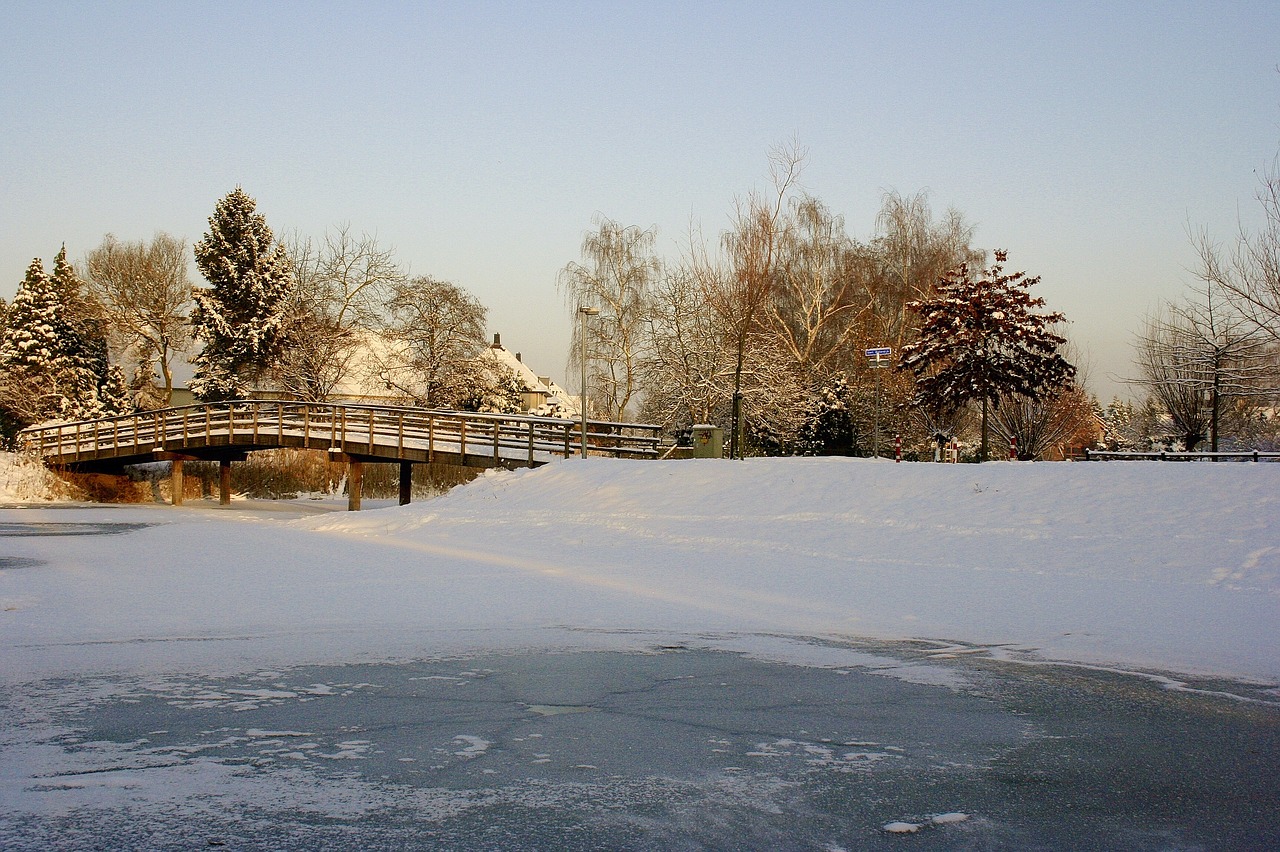 winterbeeld winter winter weather free photo