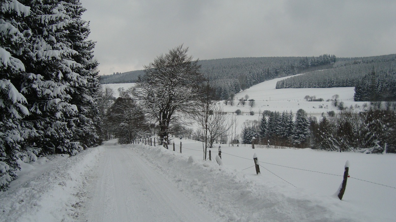 winterberg snow landscape free photo