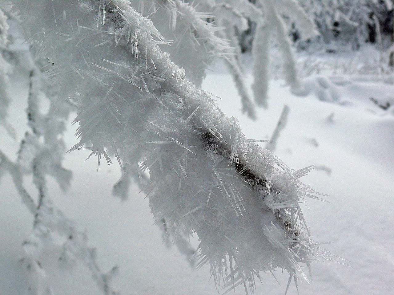 winterimpression winter ice free photo