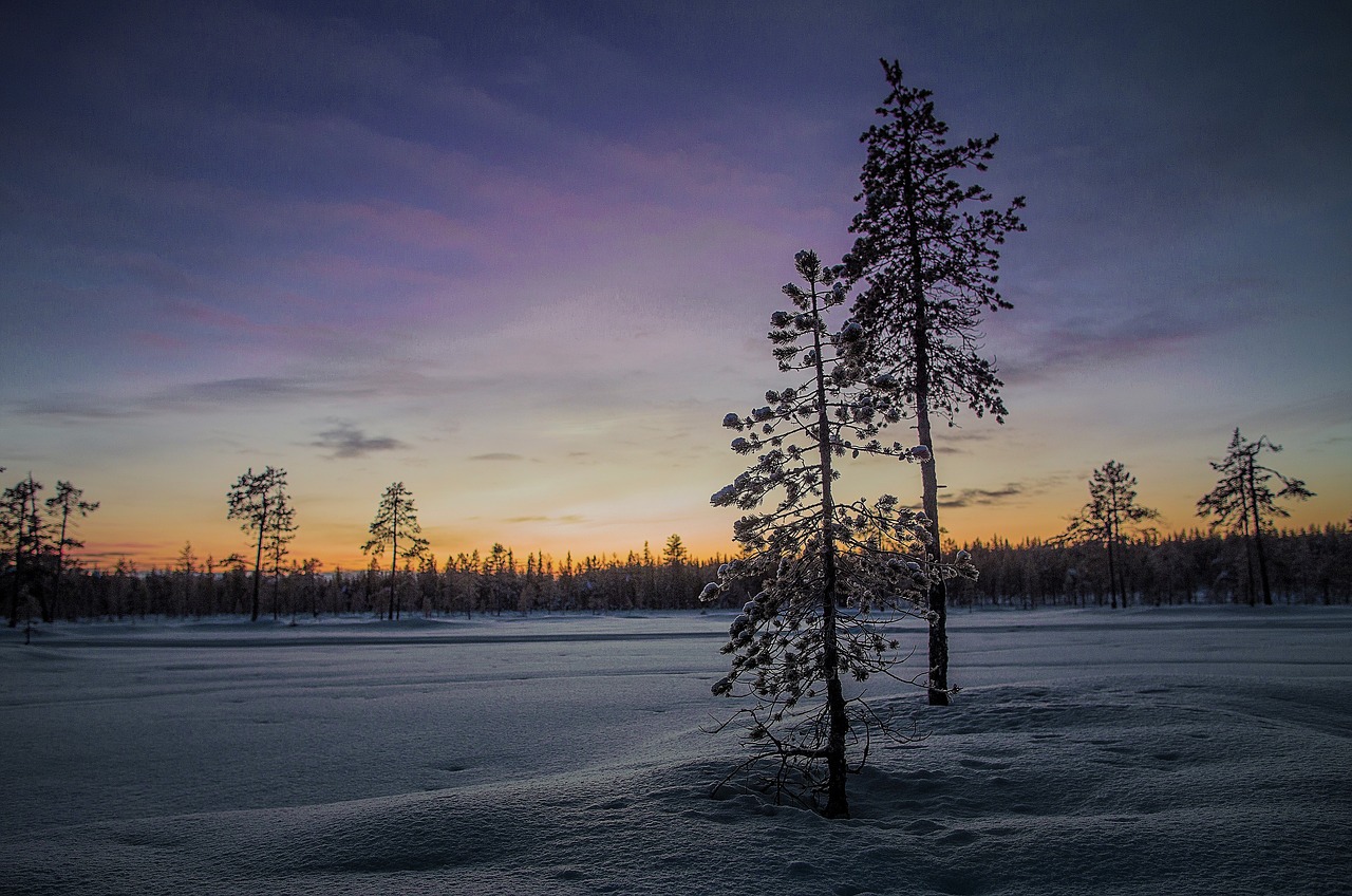 winters landscape snow free photo