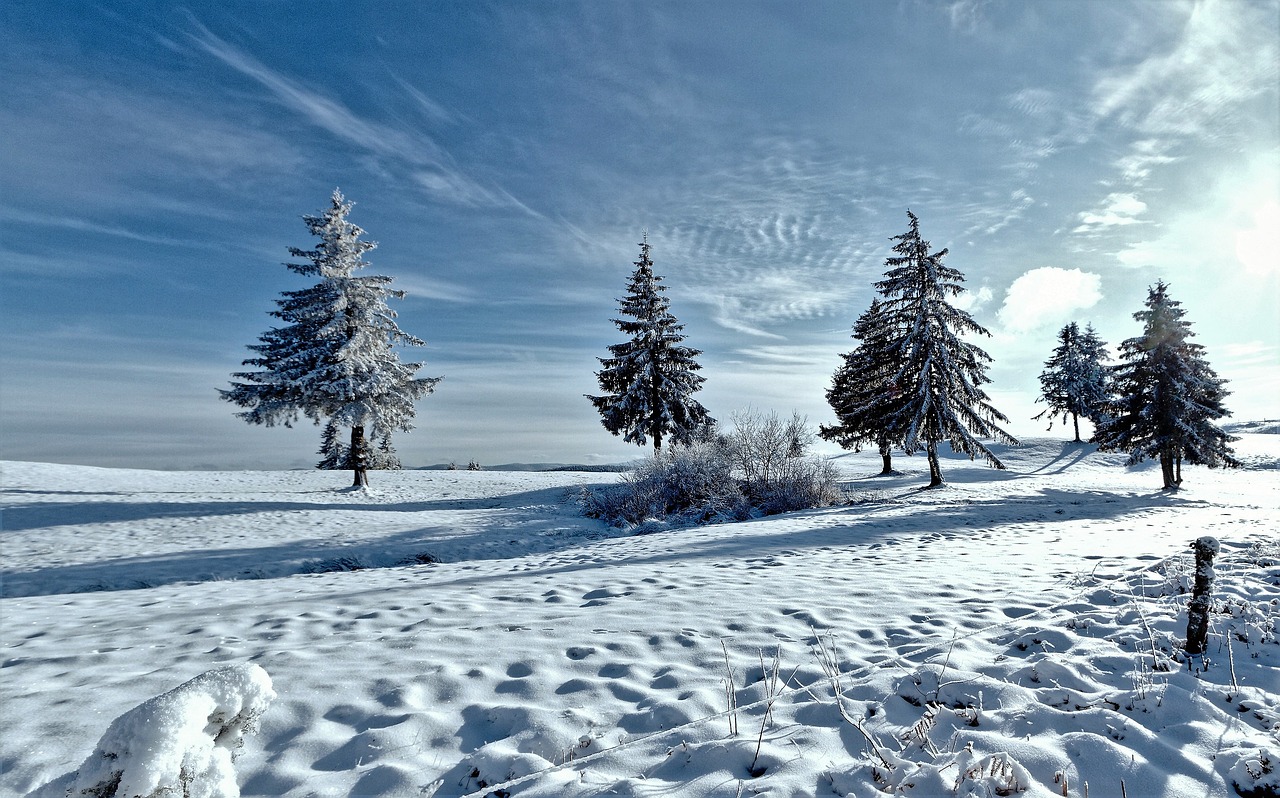 winters landscape snow free photo