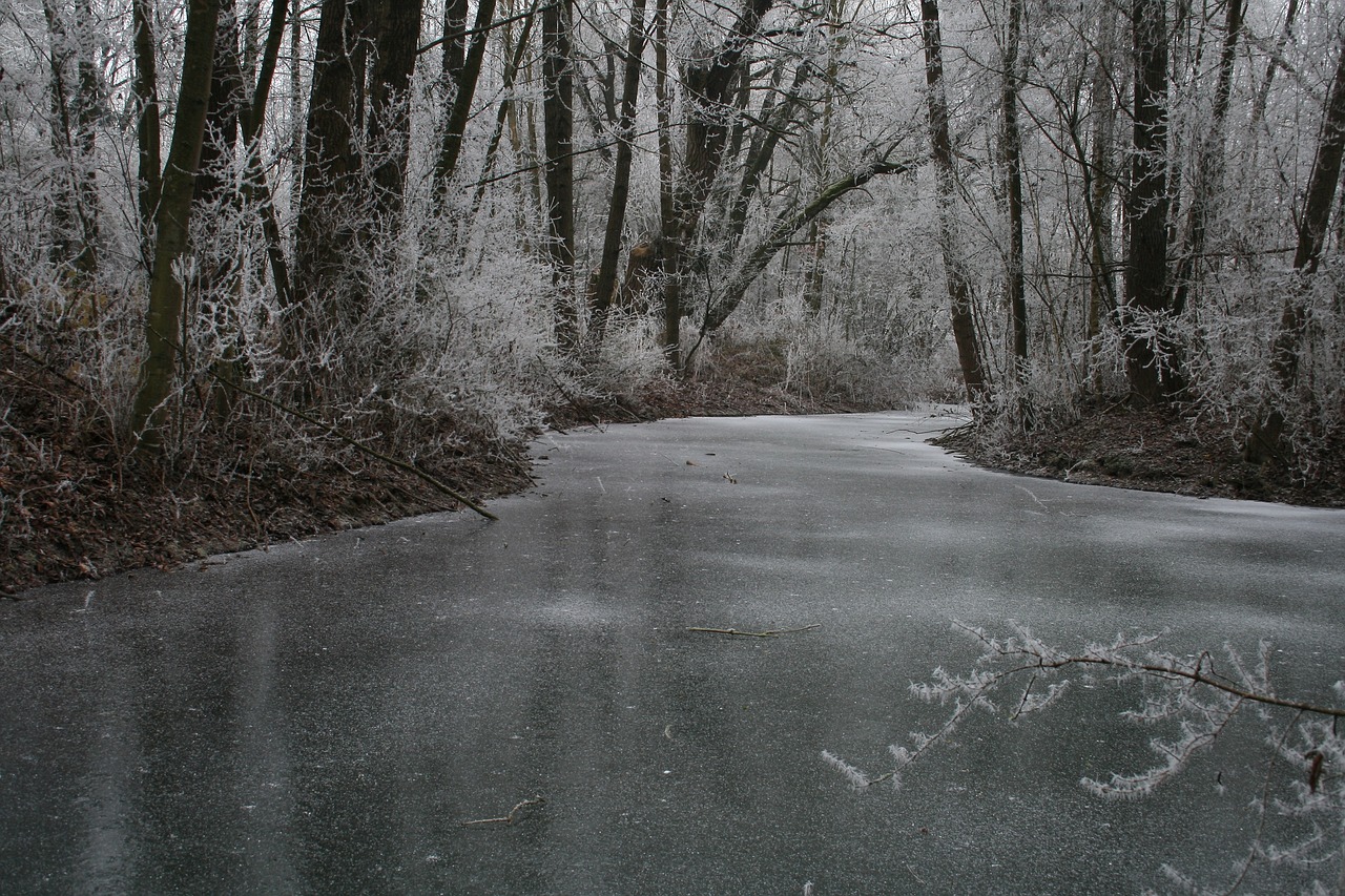 winterwonderland ice snow free photo