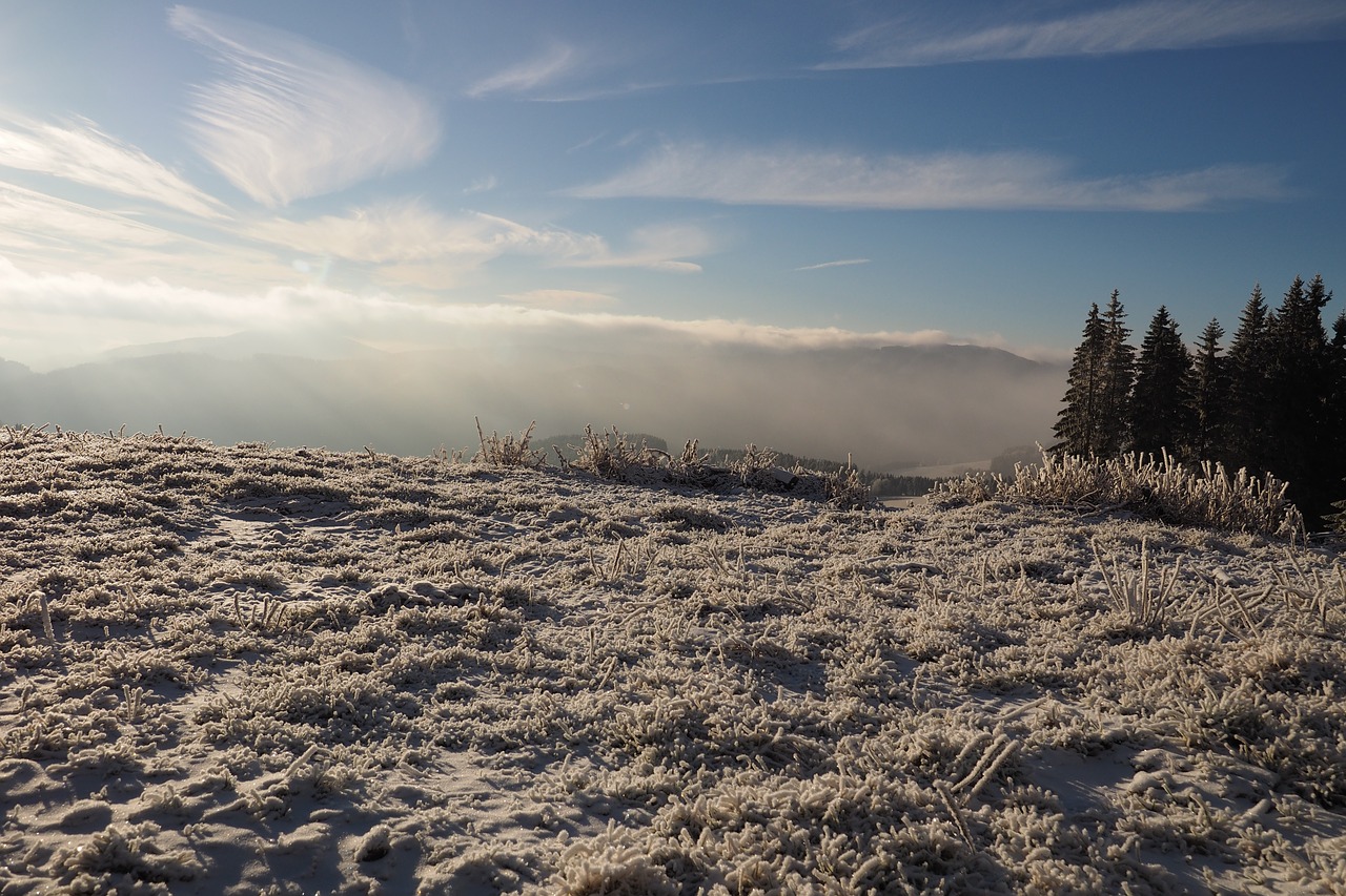 wintry winter snow free photo