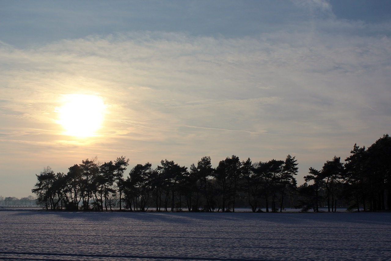 wintry winter landscape free photo