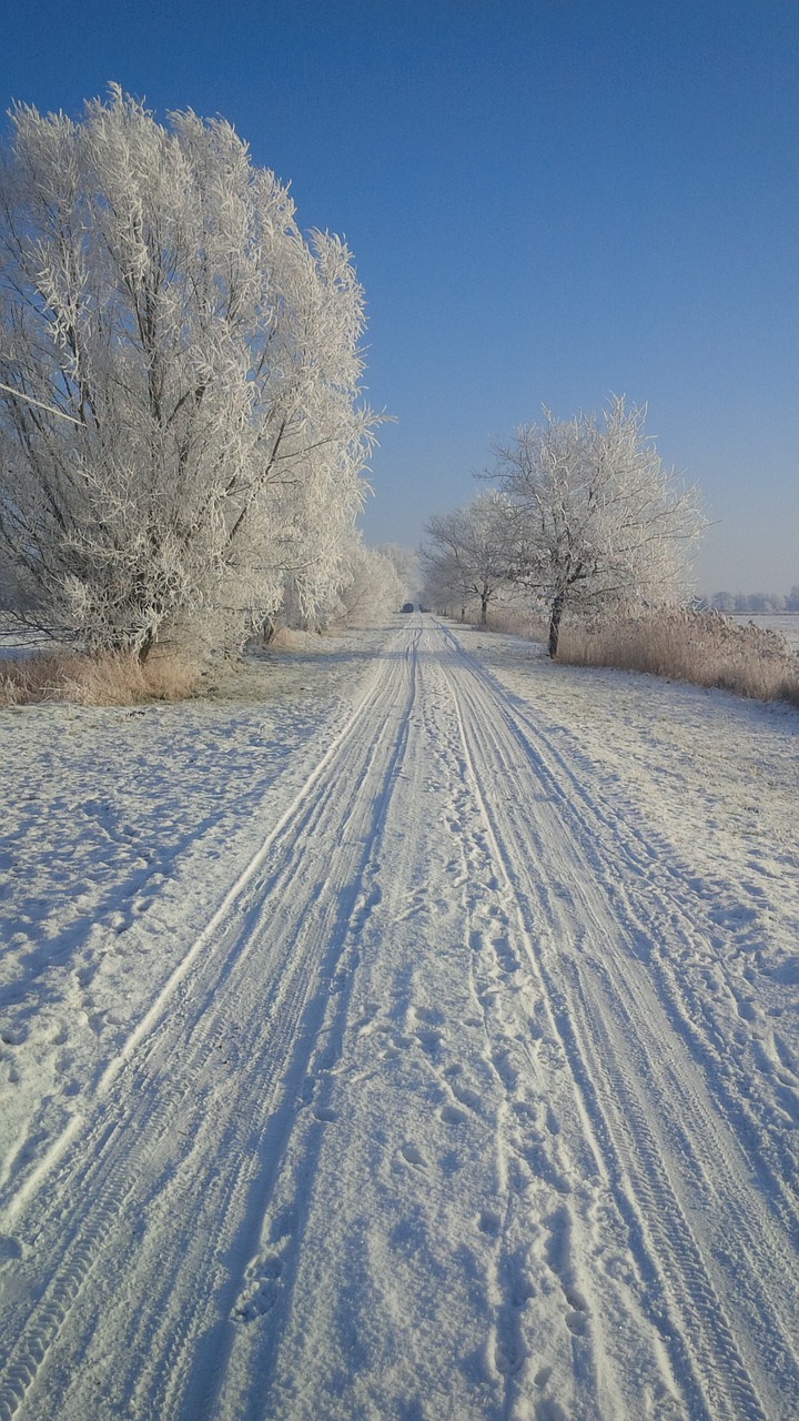 wintry snow snowy free photo