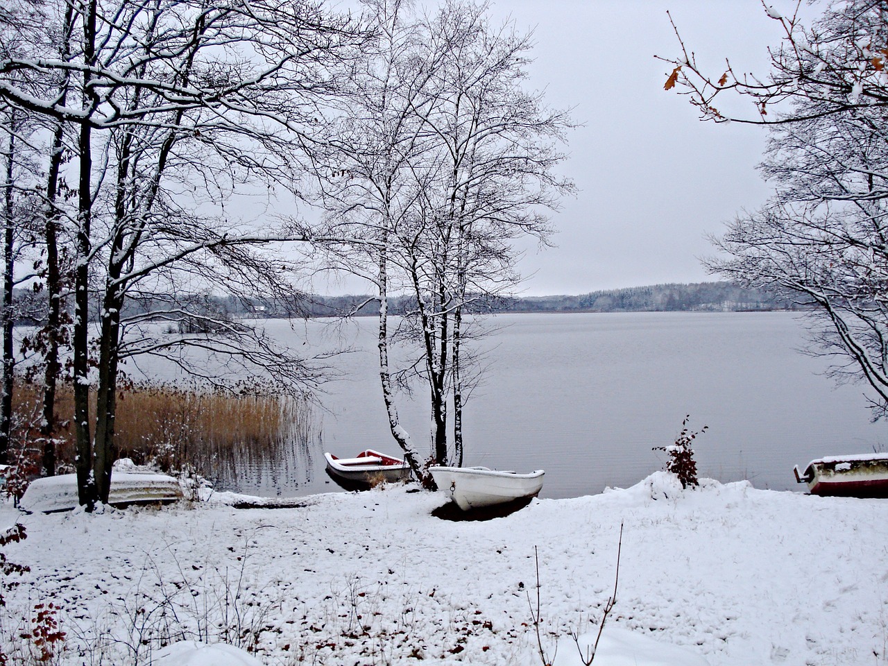 wintry sweden lake free photo