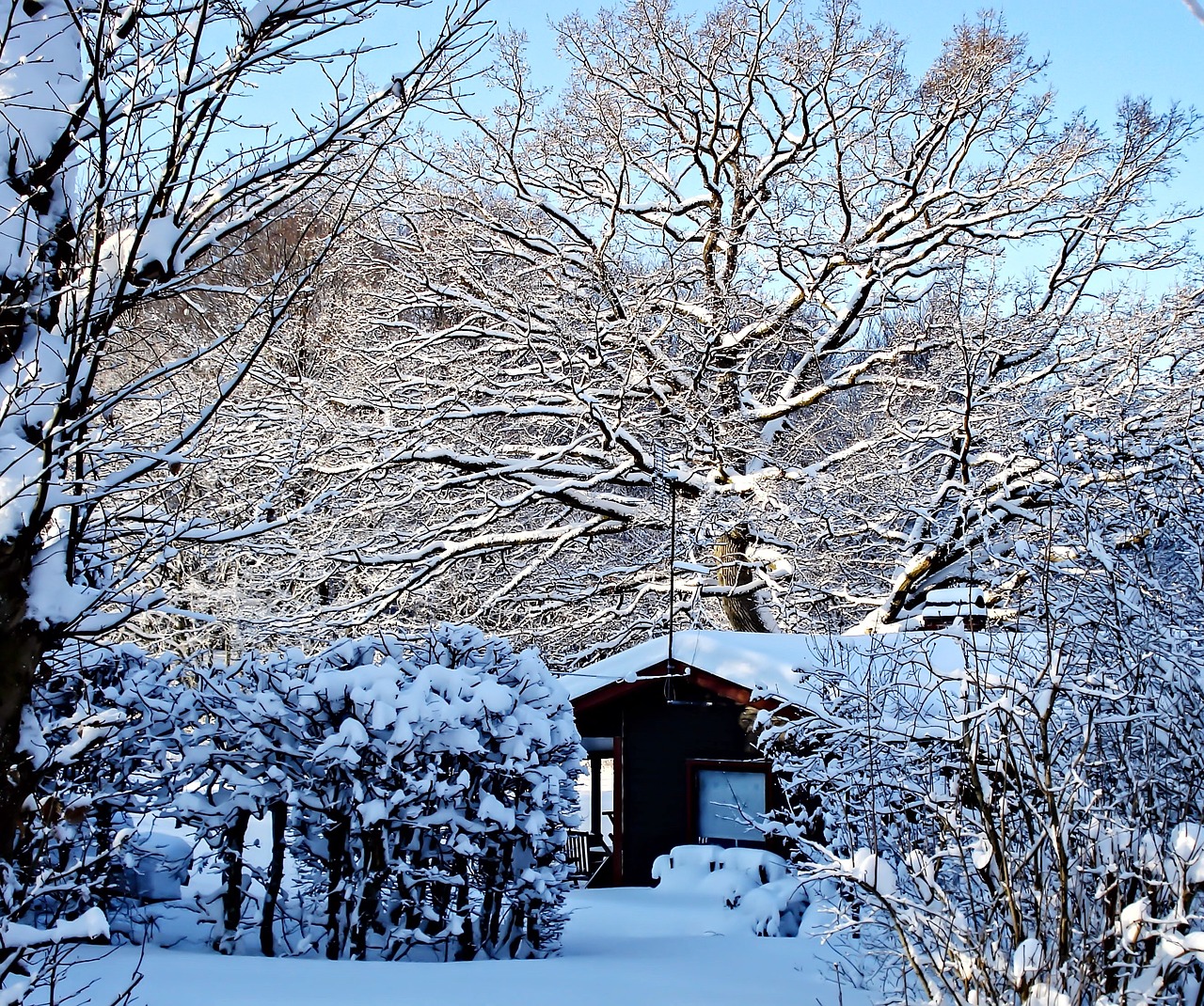 wintry sweden holiday house free photo
