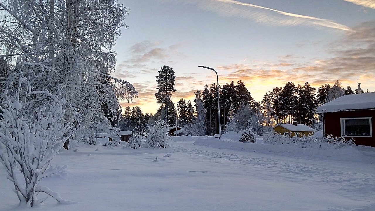 wintry lapland sweden free photo