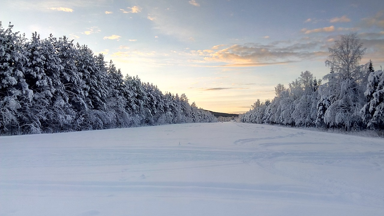 wintry lapland sweden free photo