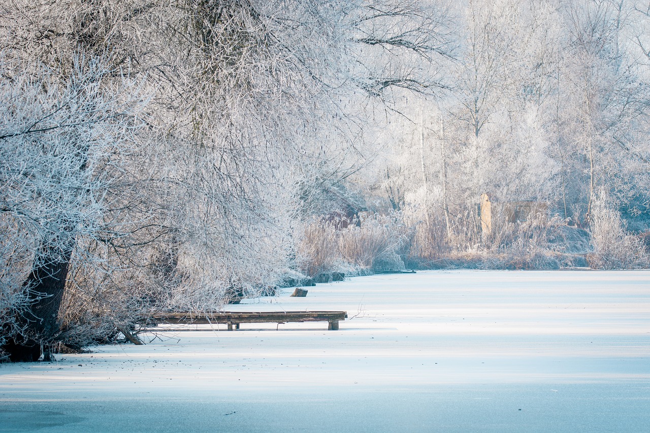 wintry lake winter free photo