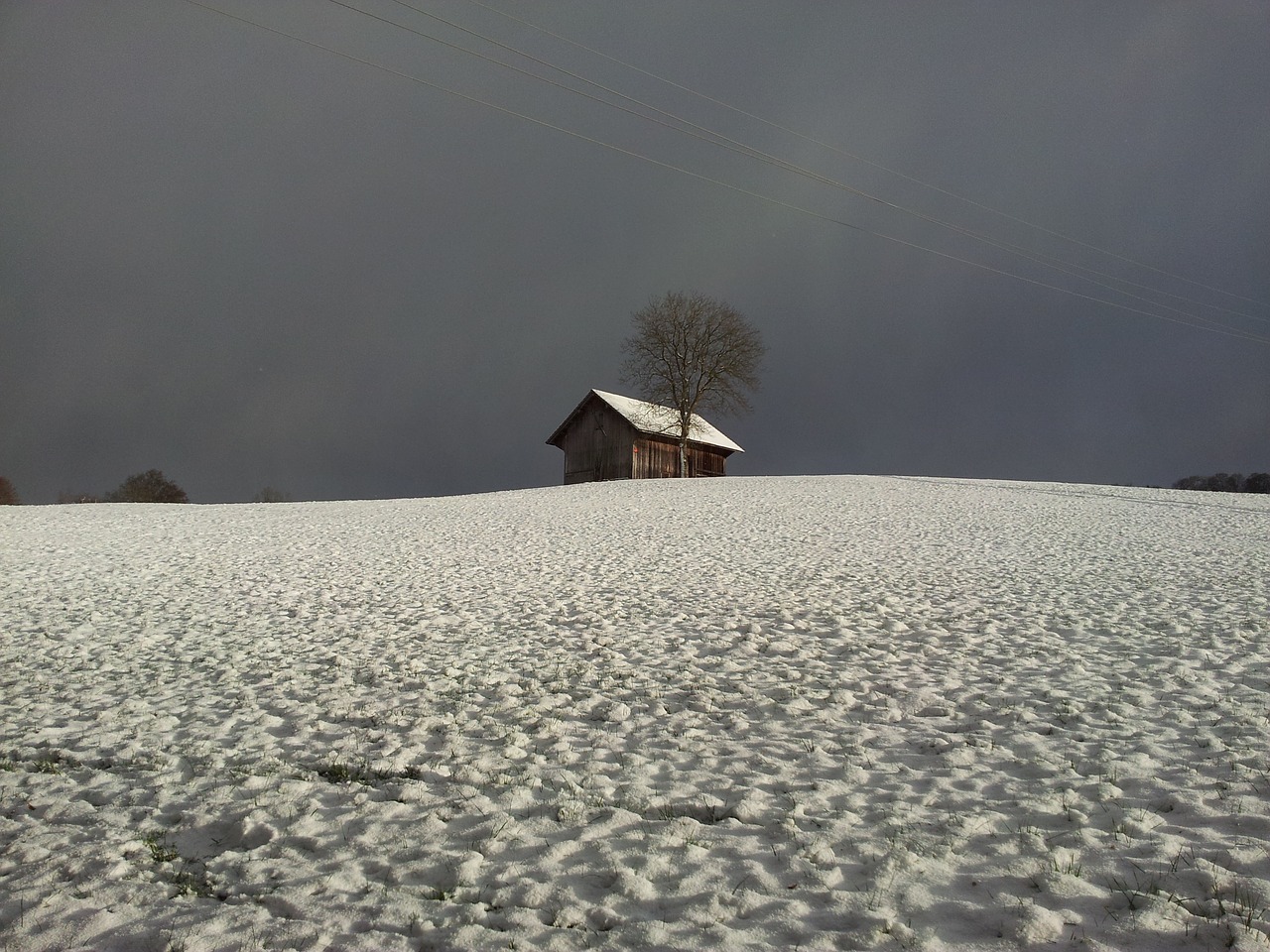 wintry snowfield snow landscape free photo