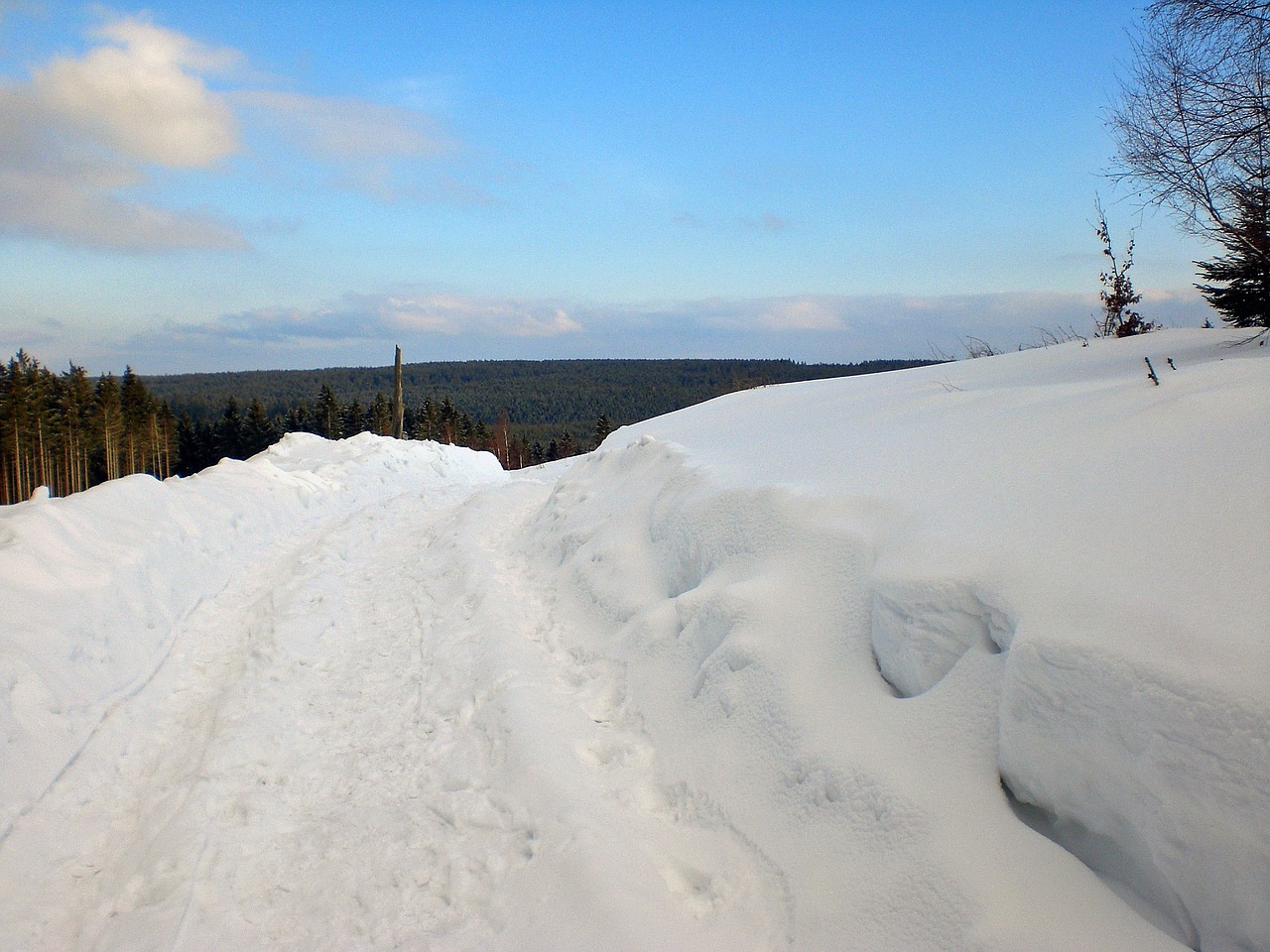 wintry snow winter magic free photo