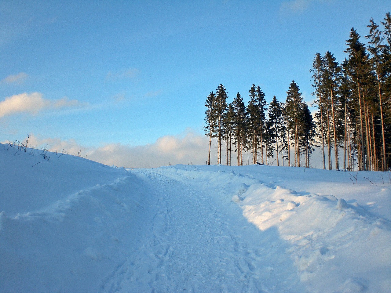 wintry resin snow free photo