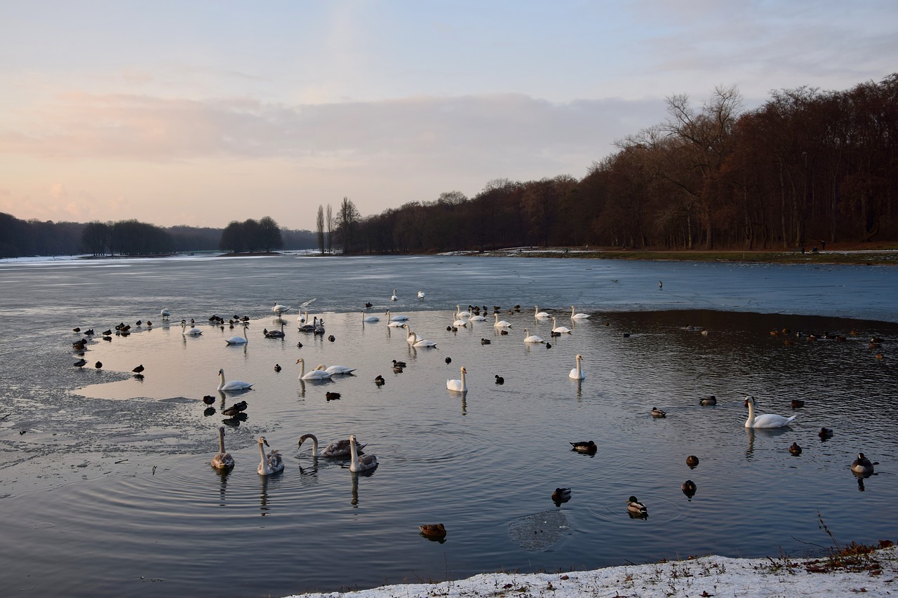 wintry time of year frozen lake free photo