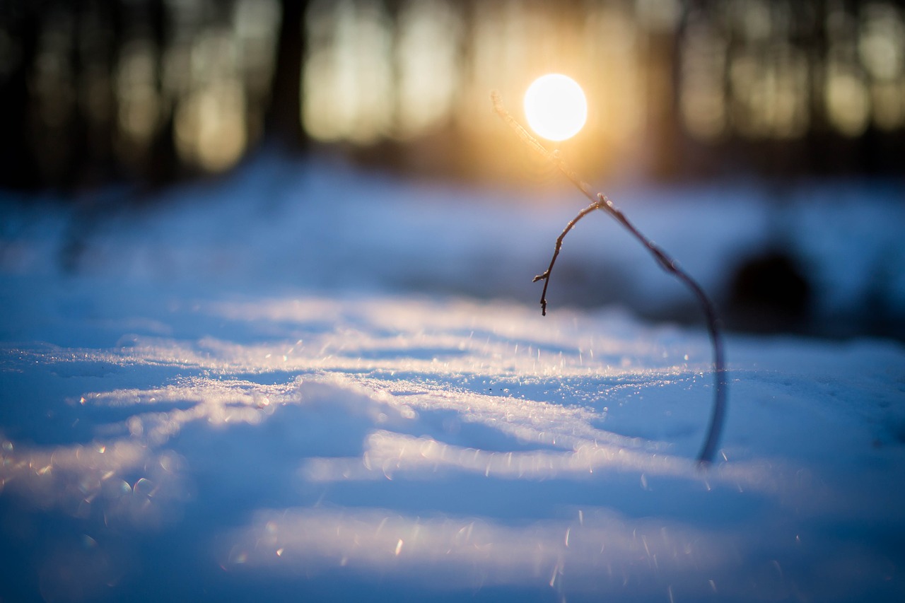 wintry snow sunrise free photo