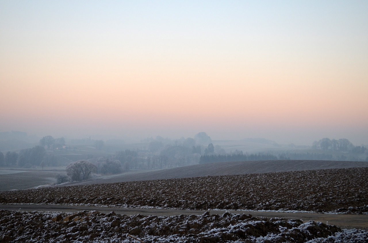 wintry fog ripe free photo