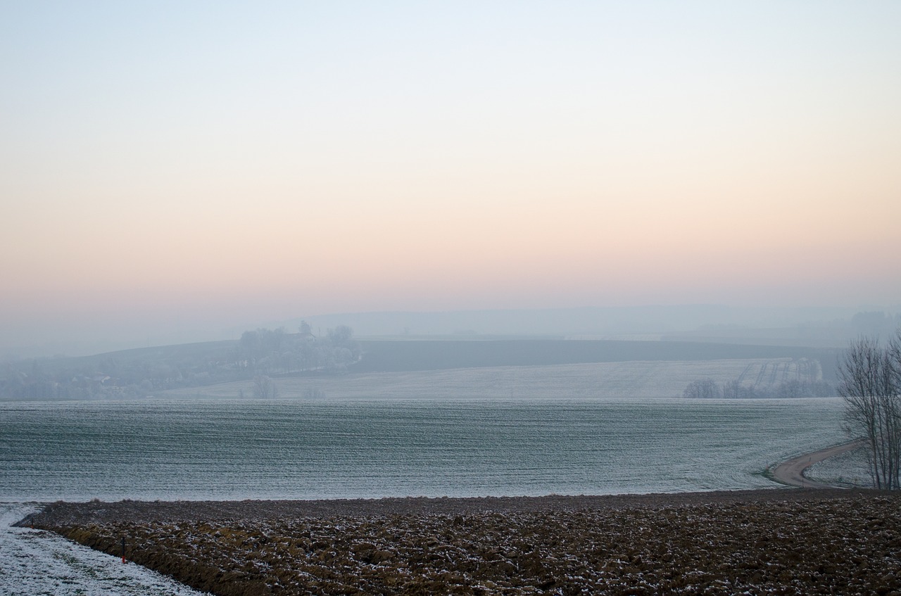 wintry fog ripe free photo